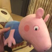 佩琪小飞