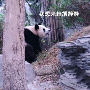 猫不知道