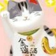 VIP燚