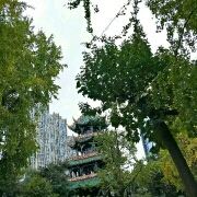 一季花开一季花落殇