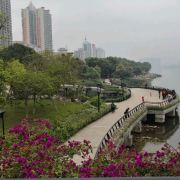 可惜才理解子欲养而亲不待