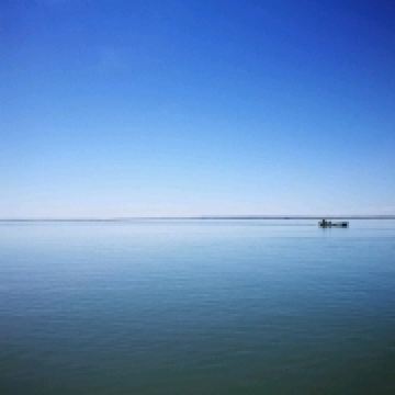 我有面包我不饿