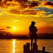 一只很酷的小哥哥呀