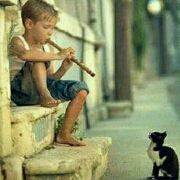 圣埃利亚-菲尔梅拉彼得司马玮