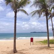 不吃辣椒的感觉