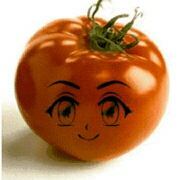 Alisa弦