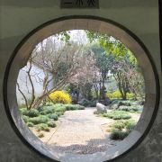 大涛涛