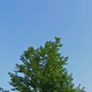 你说陪我到某年某月某日