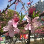 丑丑豆豆