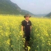 非不能也是不为也