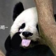 顾黑皮