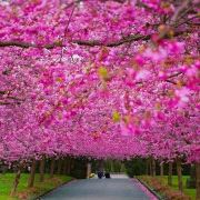 夜色迷人人自醉