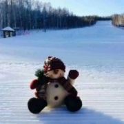 雪中乐
