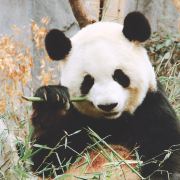 Ry一米阳光