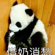 _仝全_