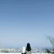 南风zxm