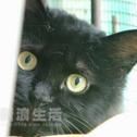 远去的一抹云