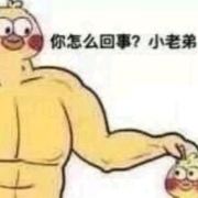 一只没有梦想的猪