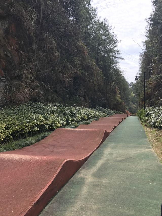 첸다오 호수 자전거 일주