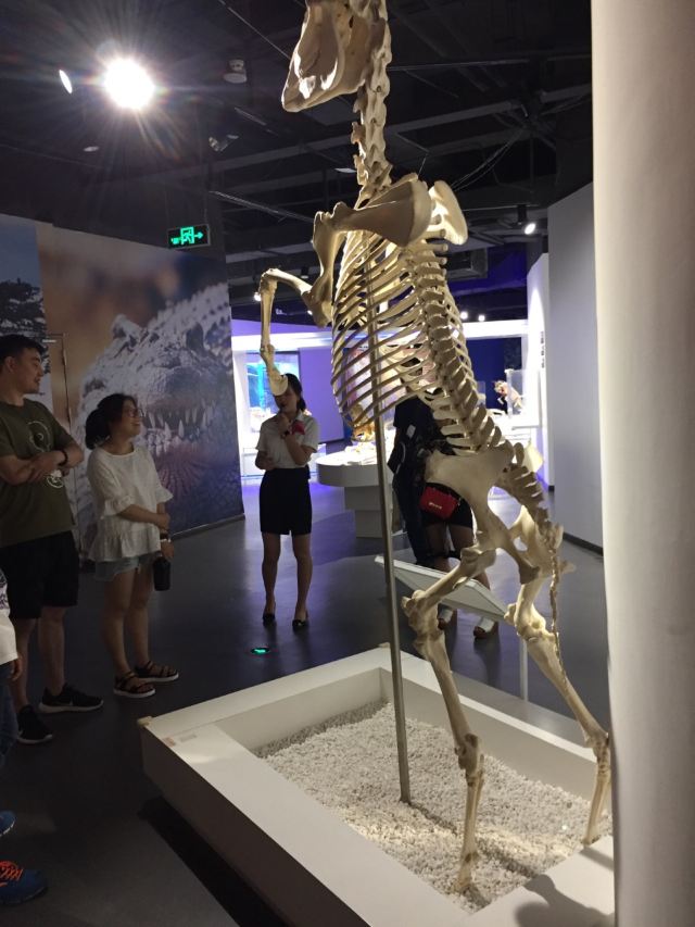 생명의 신비 박물관