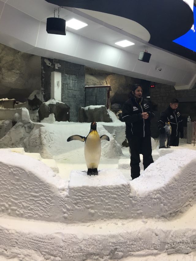 Ski Dubai