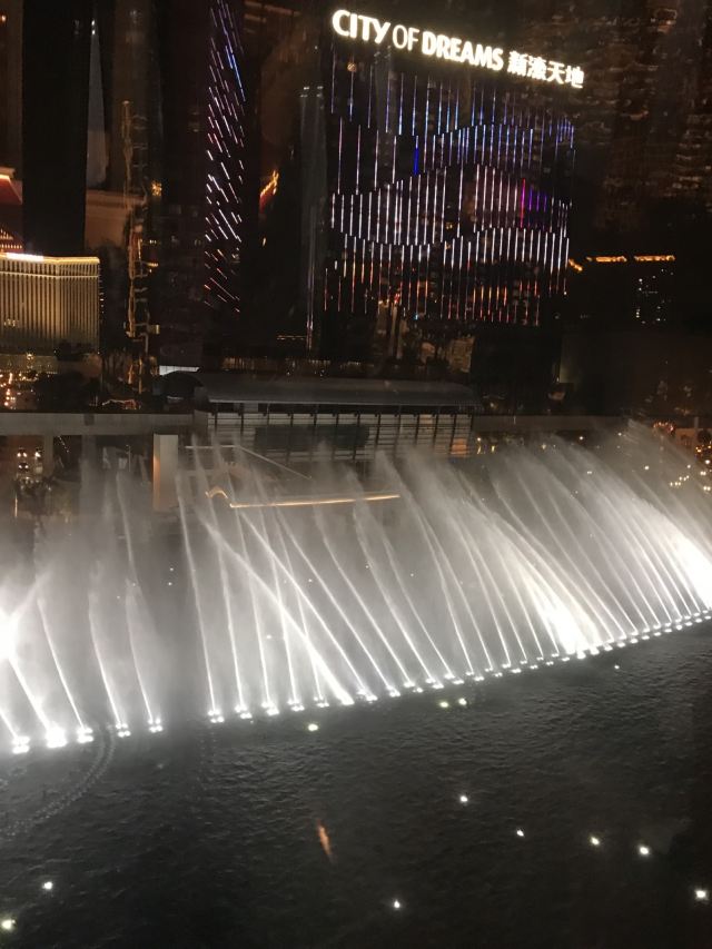 윈팰리스 스카이캡