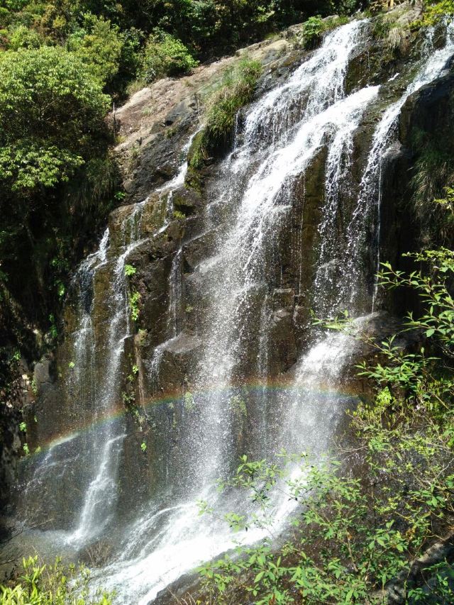 福州雲頂