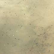 吉林省委办公厅 吉林省人民政府办公厅印发《关于推动文化产业高质量发展的实施意见》的通知爱游戏- 爱游戏体育- AYX爱游戏体育官方网站