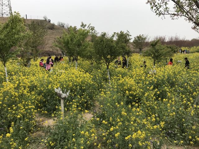 古柏渡飛黃旅遊區