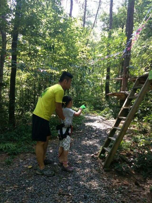 Daqishan Crazy Forest Theme Park