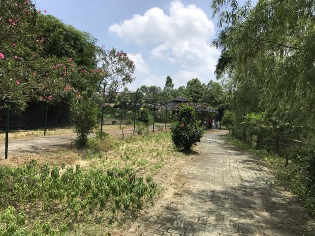 Huashui Village Tourist Scenic Spot