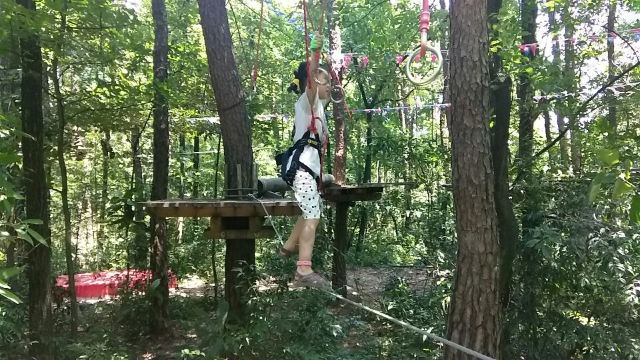 Daqishan Crazy Forest Theme Park