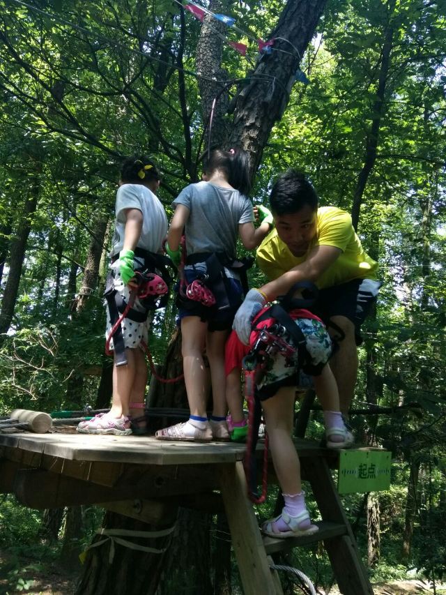Daqishan Crazy Forest Theme Park