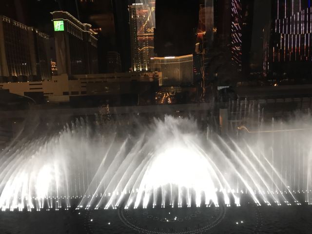 윈팰리스 스카이캡