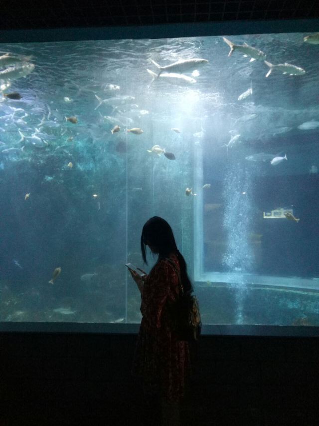 Xiaomeisha Sea World