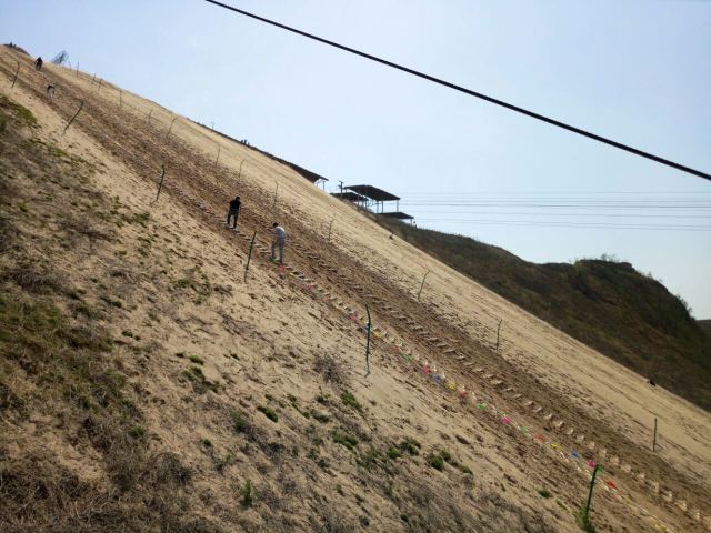 古柏渡飛黃旅遊區