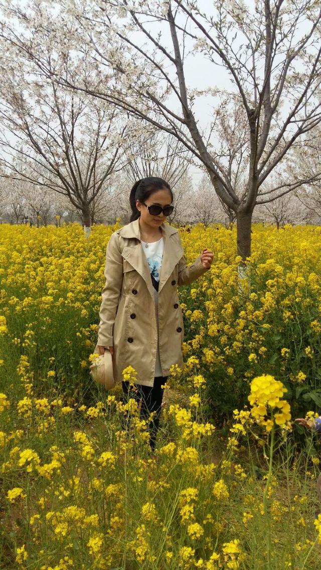 豐樂櫻花園