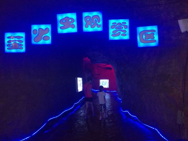 Firefly Water Cave