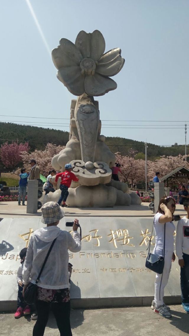 203고지
