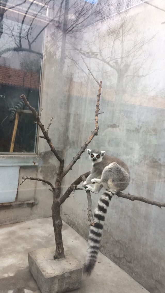 황금강 리조트
