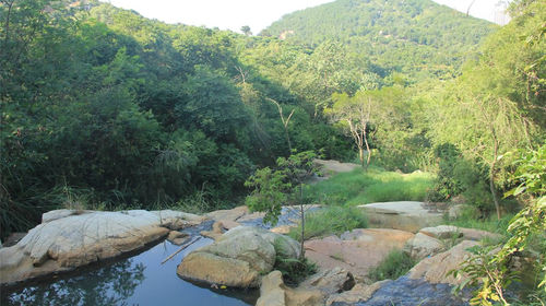 【无购物】漳州海门岛一日游(厦门出发)线路推