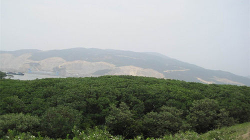 【无购物】漳州海门岛一日游(厦门出发)线路推