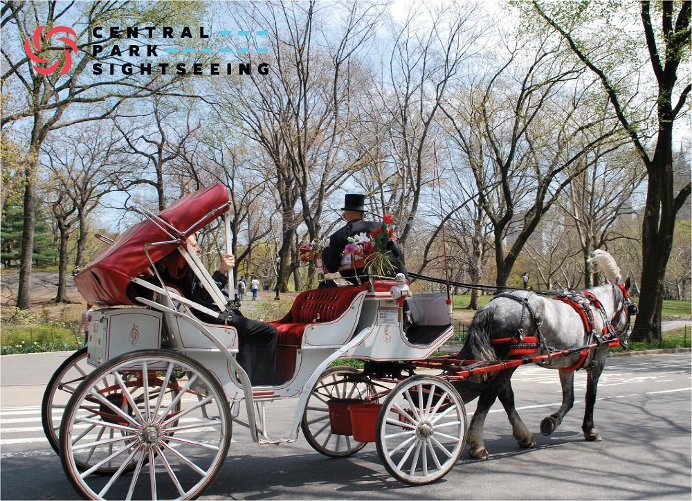 【电子票】纽约中央公园马车游线路推荐【携程玩乐】