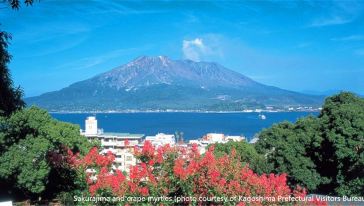 【鹿儿岛1日游】新干线+市电、城巴、City Vie