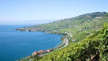 【中文包车】瑞士西庸古堡+蒙特勒+拉沃葡萄