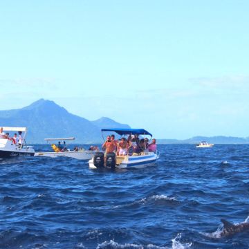 毛里求斯追海豚+天涯海角+大浪湾+自然桥+蓝湾玻璃船一日游
