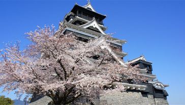 日本九州福冈周边包车一日游(由布院\/别府\/长崎