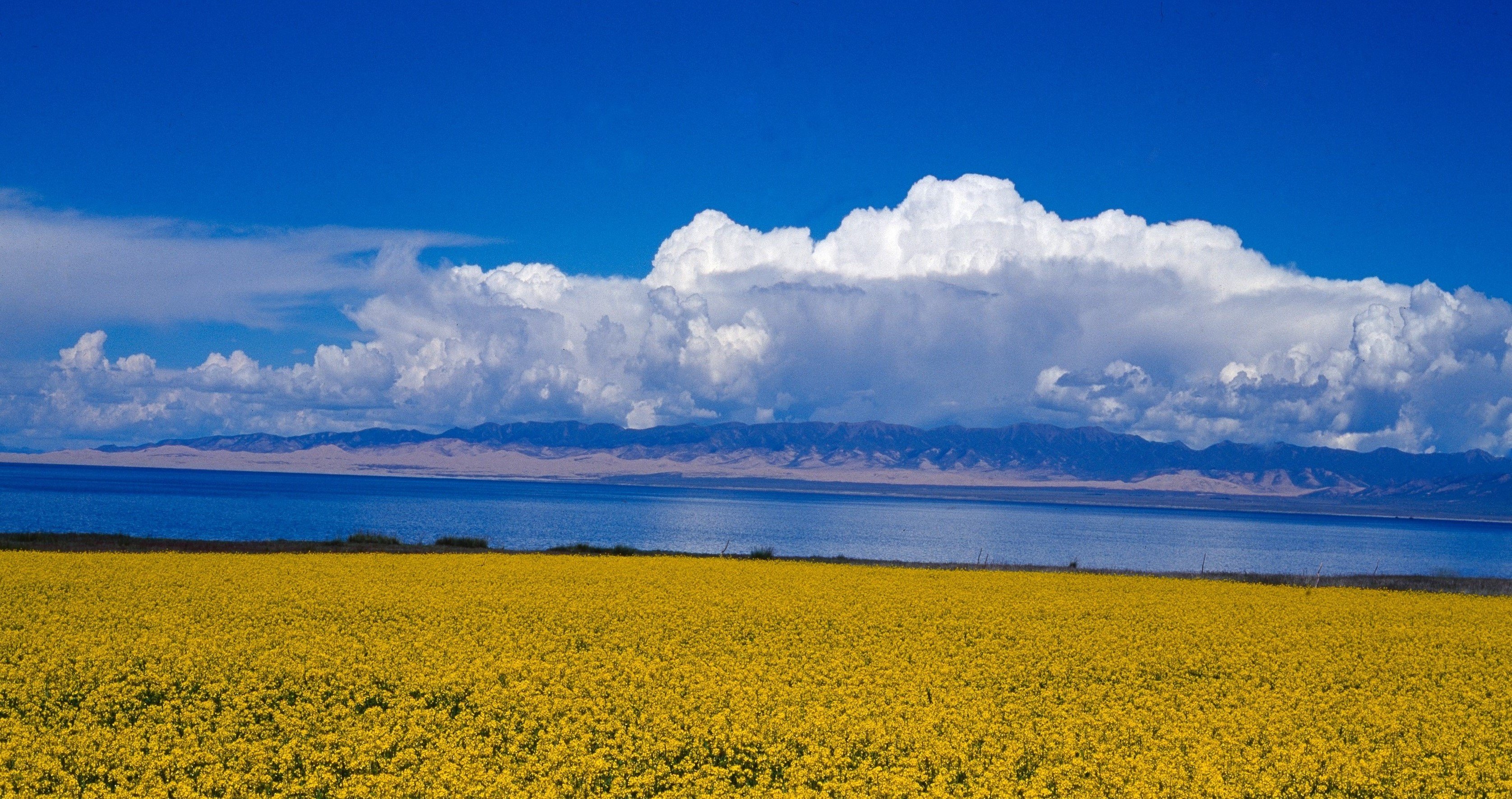 你知道青海湖有多美吗？它遗世而独立，青色之海难再寻，你想去吗_景色