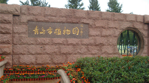 【坐索道 赏樱花】青岛植物园+空中观光缆车+中山公园樱花大道+八大关樱花路+奥帆中心大帆船一日游(送缆车立取照片)线路推荐【携程玩乐】