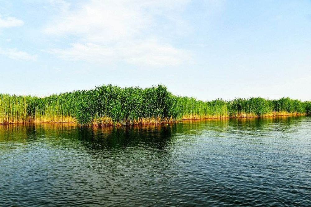 博斯腾湖照片图片